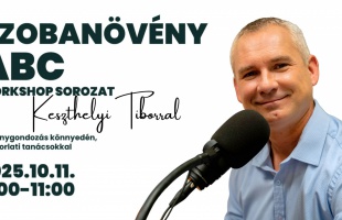 Szobanövény ABC: gyakorlati workshop Keszthelyi Tiborral az Együdben