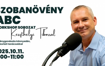 Szobanövény ABC: gyakorlati workshop Keszthelyi Tiborral az Együdben