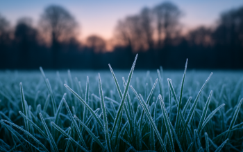 Borsodban kedden hajnalban ismét fagyott már
