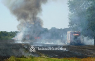 Több tucat tűzoltó oltotta a lángokat: 42 hektár gabona égett le Vésénél