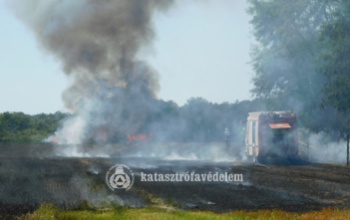 Több tucat tűzoltó oltotta a lángokat: 42 hektár gabona égett le Vésénél