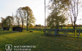 Egyik szemére megvakult az a szurkoló, akit fejbe dobtak egy ásványvizes üveggel a somogyi mérkőzésen