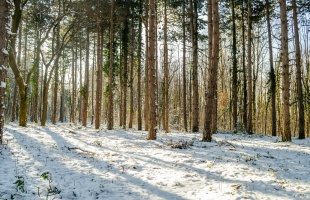 Jellemzően napos idő várható az utolsó decemberi hétvégén