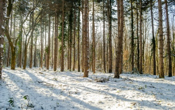 Jellemzően napos idő várható az utolsó decemberi hétvégén