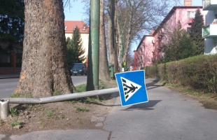 Ismeretlen betegség támadja a város tábláit