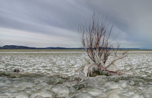 Eközben a Balatonon