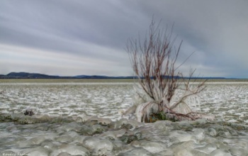 Eközben a Balatonon