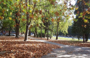 Száraz, napos idő várható a héten