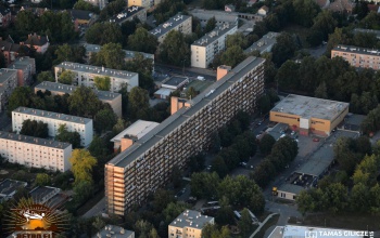 Faültetéssel ünneplik a távhőszolgáltatás napját Kaposváron
