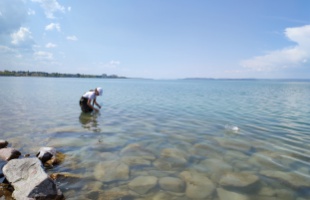 Műanyag palackok úsznak a Balaton vízében, azt kérik, ne nyúljunk hozzá