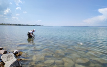Műanyag palackok úsznak a Balaton vízében, azt kérik, ne nyúljunk hozzá