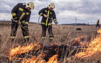 Katasztrófavédelmi kisokos: hogyan előzzük meg a szabadtéri tüzeket