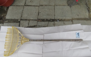 Lombseprűvel törte el az orrát