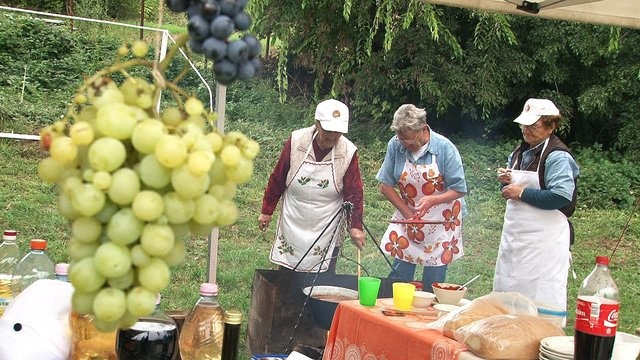 Káposztát főztek a medvések