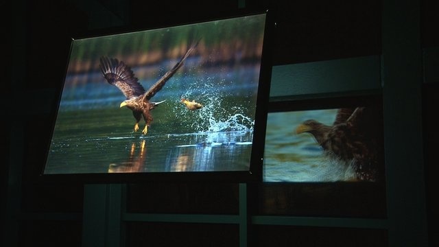 20 év munkája 20 fotón
