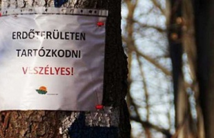 Utakat zárnak le a zselici erdőkben