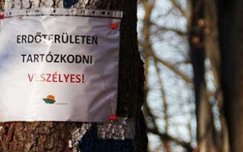 Utakat zárnak le a zselici erdőkben
