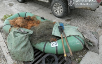 Vadkamera buktatta le a tilosban járó halászokat