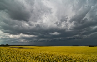 Hideg napokra számíthatunk a héten