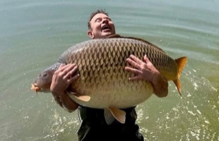 Rekordméretű tőponty került horogra a Balatonon