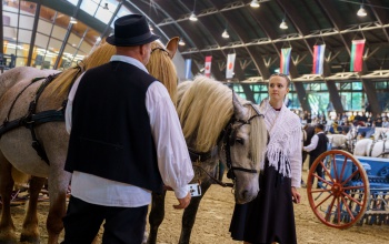 Dinoszauruszok, tenyészállatok és közönségkedvenc koncertek a KÁN Egyetemi Napokon