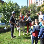Kaposvári Egyetem Gyakorló Óvoda