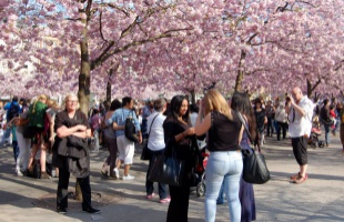 Stockholm az én szememmel
