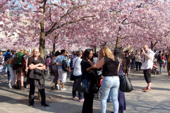 Stockholm az én szememmel