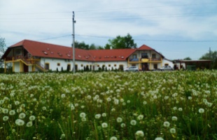 Reményt ad a füredi Napsugár