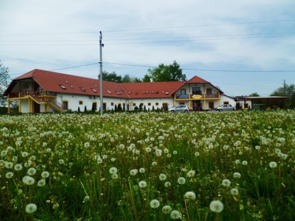 Reményt ad a füredi Napsugár