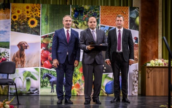 Miniszteri elismerésben részesült a Kaposvár Most munkatársa