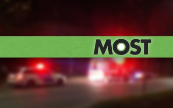 Szarvassal ütközött egy autó Marcali és Csömend között