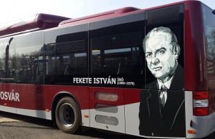 Pünkösdi menetrend a helyijáratos buszoknál