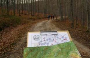 Sikeresen túráztak a zöldpontosok