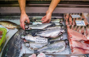 Idén sem drágul a karácsonyi hal