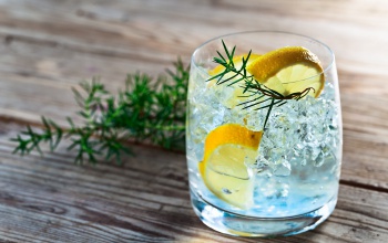 Gin-kóstolót tartott a Nébih, betiltás lett a vége