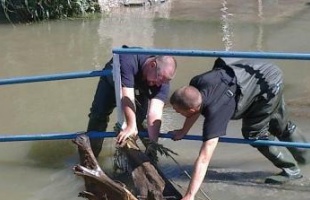 Bajánál tetőzik a Duna, nem lankadnak a somogyiak