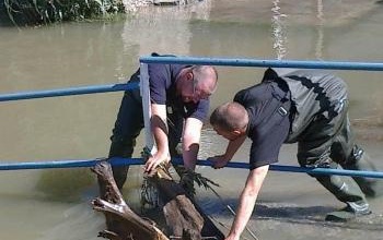 Bajánál tetőzik a Duna, nem lankadnak a somogyiak