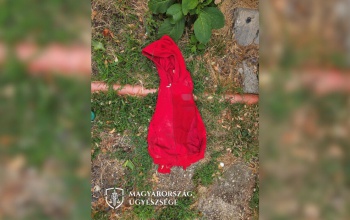 Kiraboltak egy férfit egy kaposvári parkban