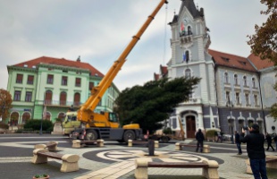 Megérkezett a Kossuth térre Kaposvár fenyőfája