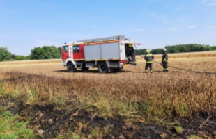 Lábon álló gabona kapott lángra Somogyzsitfánál