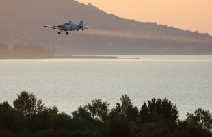 Indul a szúnyogirtás a Balatonon