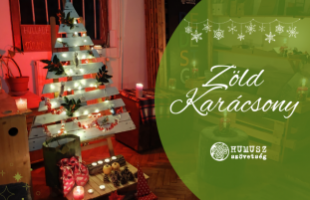 Így tegyük zöldebbé a karácsonyt!