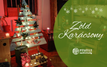 Így tegyük zöldebbé a karácsonyt!