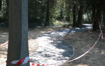 Teljesen megújul a Cseri park - hamarosan elkészül a futópálya is