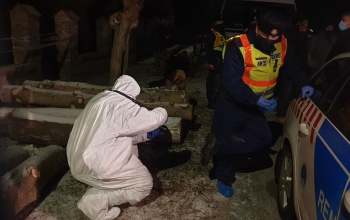 Hamarosan vádat emelhetnek az apját megölő balatonszemesi férfivel szemben