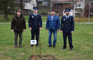 Még zöldebb lesz a megye - elültették az 