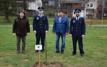 Még zöldebb lesz a megye - elültették az 