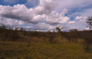 Gamási felhők nőnapra