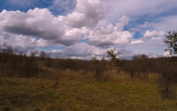 Gamási felhők nőnapra